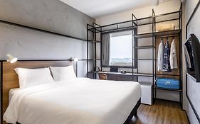 Ibis Aruja